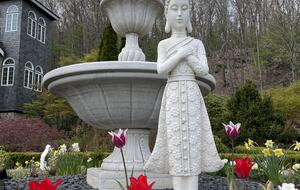 Easter's First Blooms at the Estate and Late April Exclusive Tulip Extravaganza - Woodstock, New York