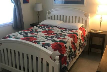 Waterfront St. Pete Retreat with Pool and Dock - St Petersburg, Florida