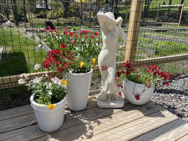 Easter's First Blooms at the Estate and Late April Exclusive Tulip Extravaganza - Woodstock, New York