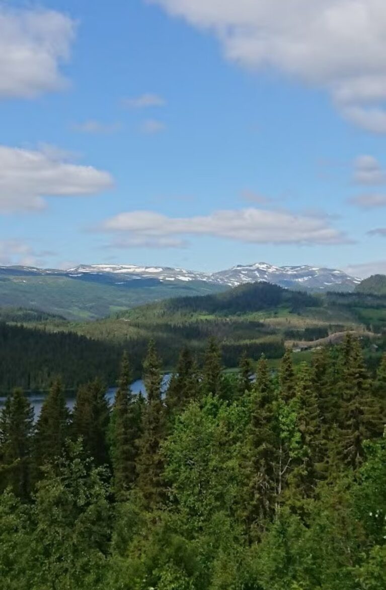 Your Own Boutique Hotel Overlooking Hedalsfjord - Skammestein, Norway