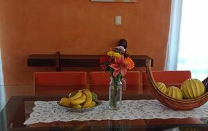 El Caracol Condos and Penthouses San Miguel de Allende - San Miguel De Allende, Mexico