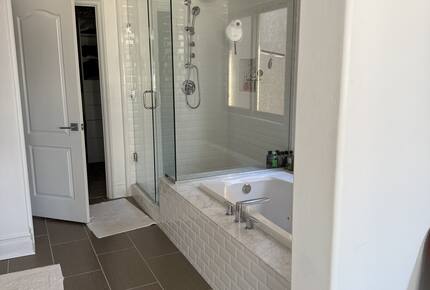 Master Bathroom Tub and Shower