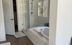 Master Bathroom Tub and Shower