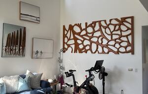 Second floor living area with TV and Peloton