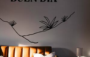 Peaceful Charlotte Getaway Close to the City - Charlotte, North Carolina